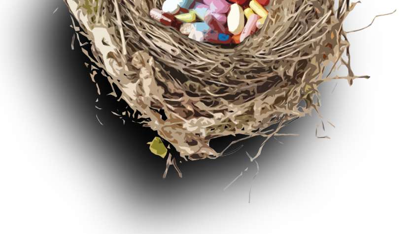 Einer flog über das Kuckucksnest